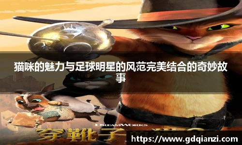 猫咪的魅力与足球明星的风范完美结合的奇妙故事